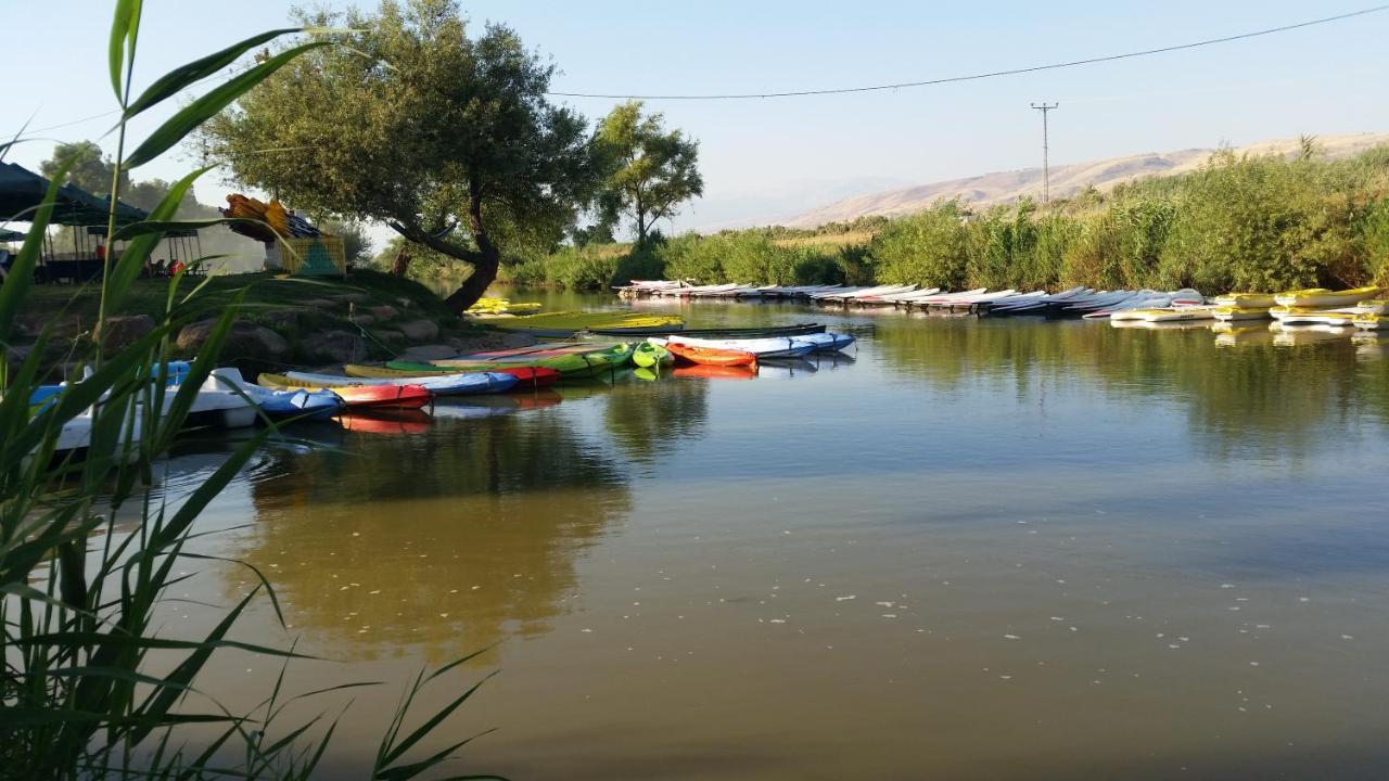 Naftali Albilia كريات شمونة المظهر الخارجي الصورة